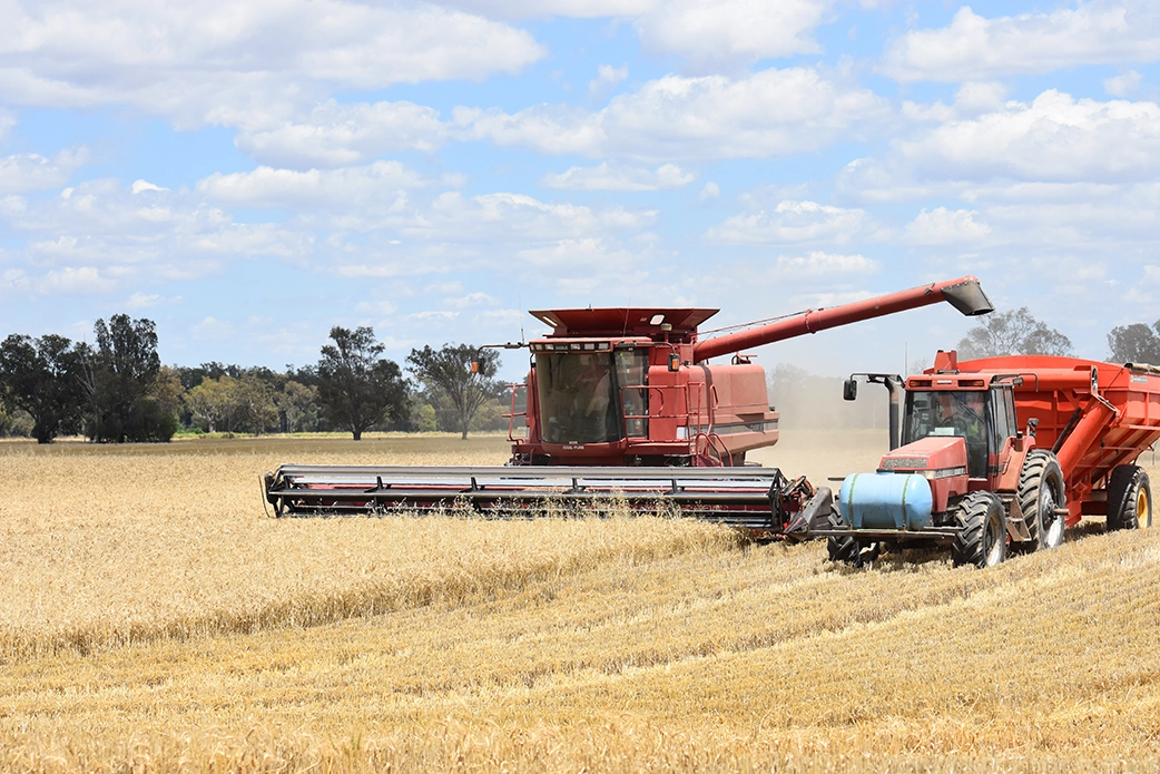 Harvest in Warren