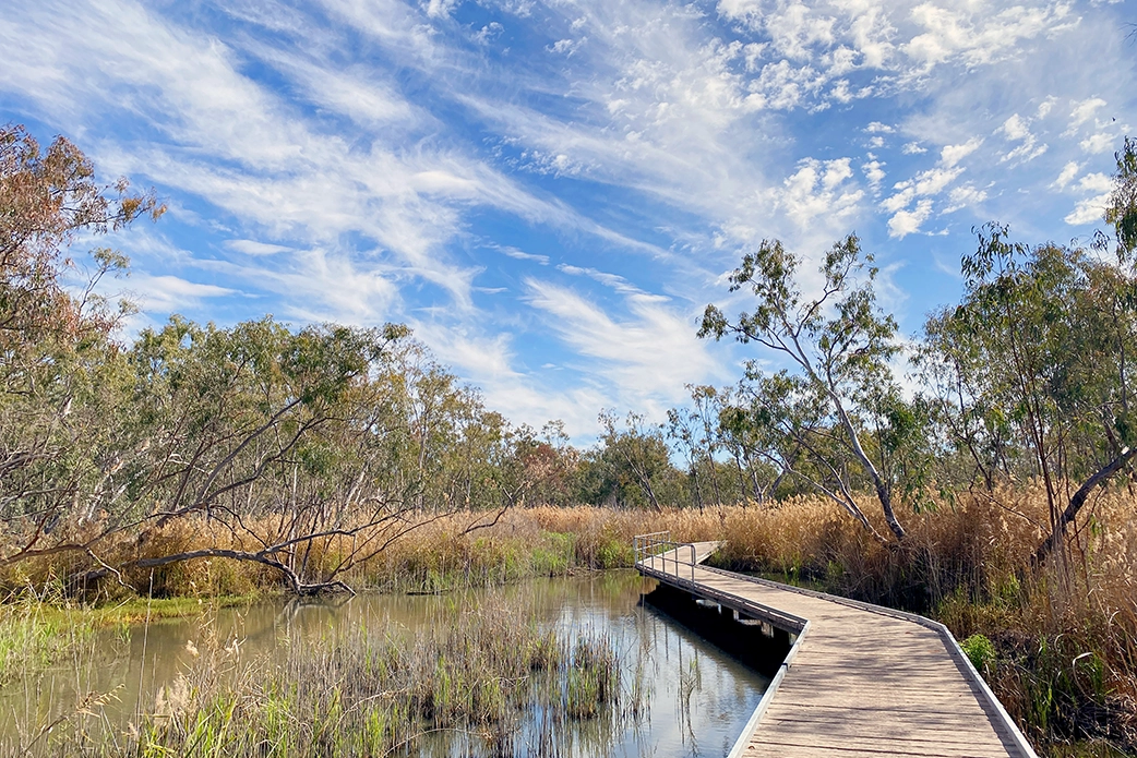 Walking Platform Macquarie Marshes